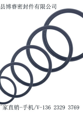 厂家直供SPGA活塞环专用密封圈 SPGA密封环耐磨防漏耐磨件