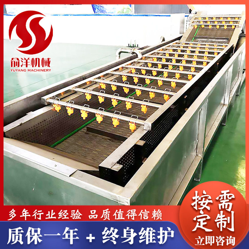 气泡清洗设备 果蔬气泡清洗机 多功能净菜清洗机厂家供应