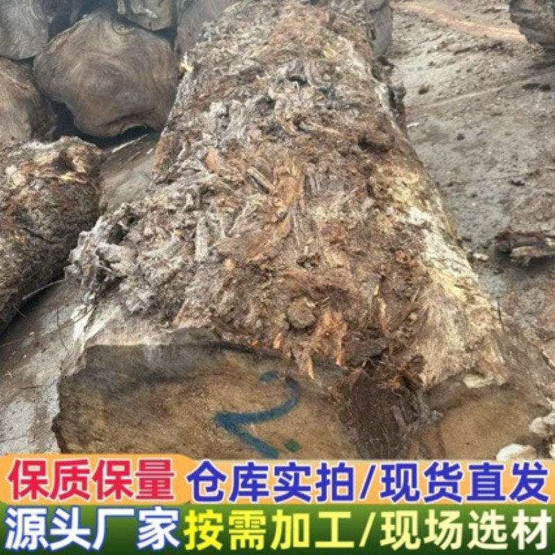 白杨树瘤 欧洲枫木 白杨树瘤 大板 白杨树瘤 非洲花梨树瘤 树脂木