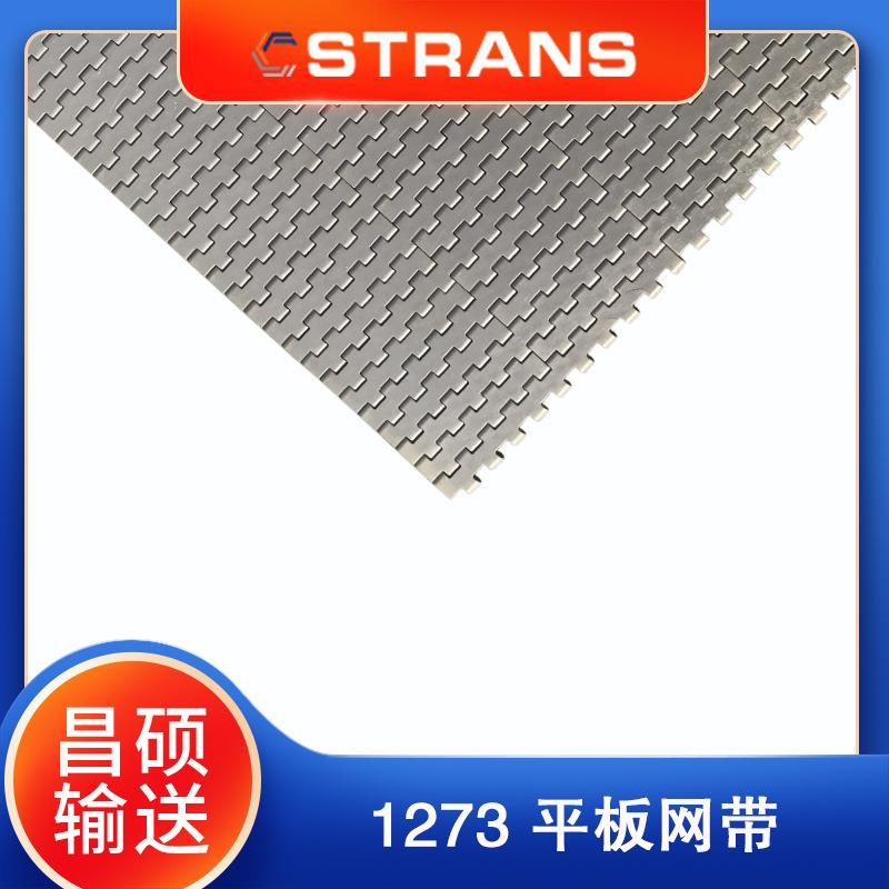 2120平板小节距网链输送带食品输送网带水果蔬菜输送网带12.7mm