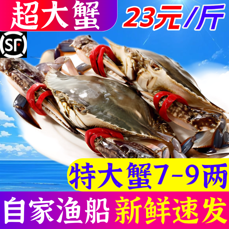 梭子蟹超大特大螃蟹海蟹母蟹野生公蟹红膏母蟹速冻螃蟹海鲜水产,水产肉类/新鲜蔬果/熟食,梭子蟹,淘宝优惠券,粉丝福利购,淘宝优惠卷