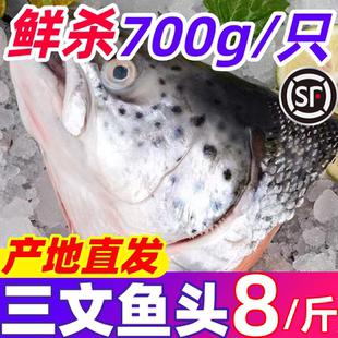 新鲜三文鱼头冷冻整条现切新疆国产虹鳟鱼头三文鱼非进口海鲜水产
