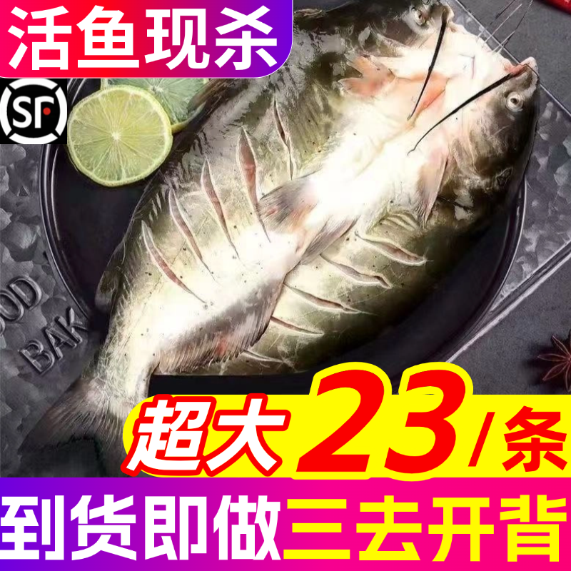 清江鱼斑点叉尾鮰鱼鲜活开背商用烤鱼青江鱼腌制新鲜半成品食材,水产肉类/新鲜蔬果/熟食,淡水鱼类,淘宝优惠券,粉丝福利购,淘宝优惠卷
