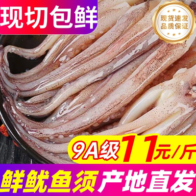 鱿鱼须新鲜尤鱼须鲜活冷冻二本足尤鱼铁板烤鱿鱼串腿批发商用海鲜