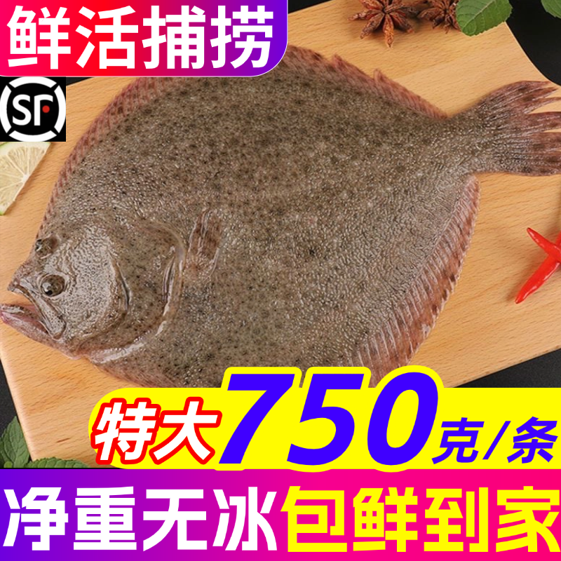 多宝鱼特大鲜活八宝鱼偏口鱼鸦片鱼无刺海鲜水产海鱼鲽鱼比目鱼