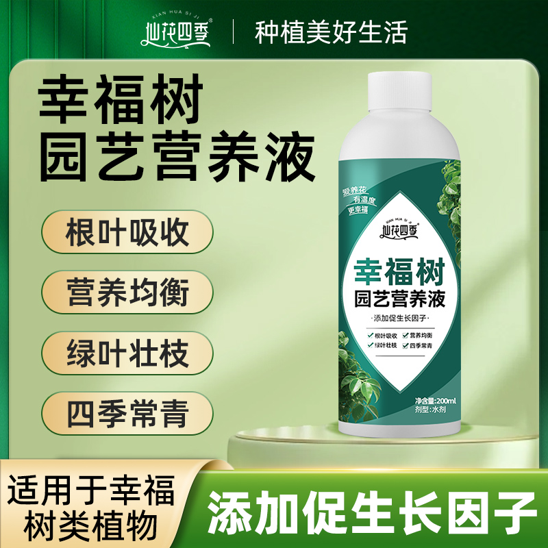 幸福树专用营养液肥料水溶肥