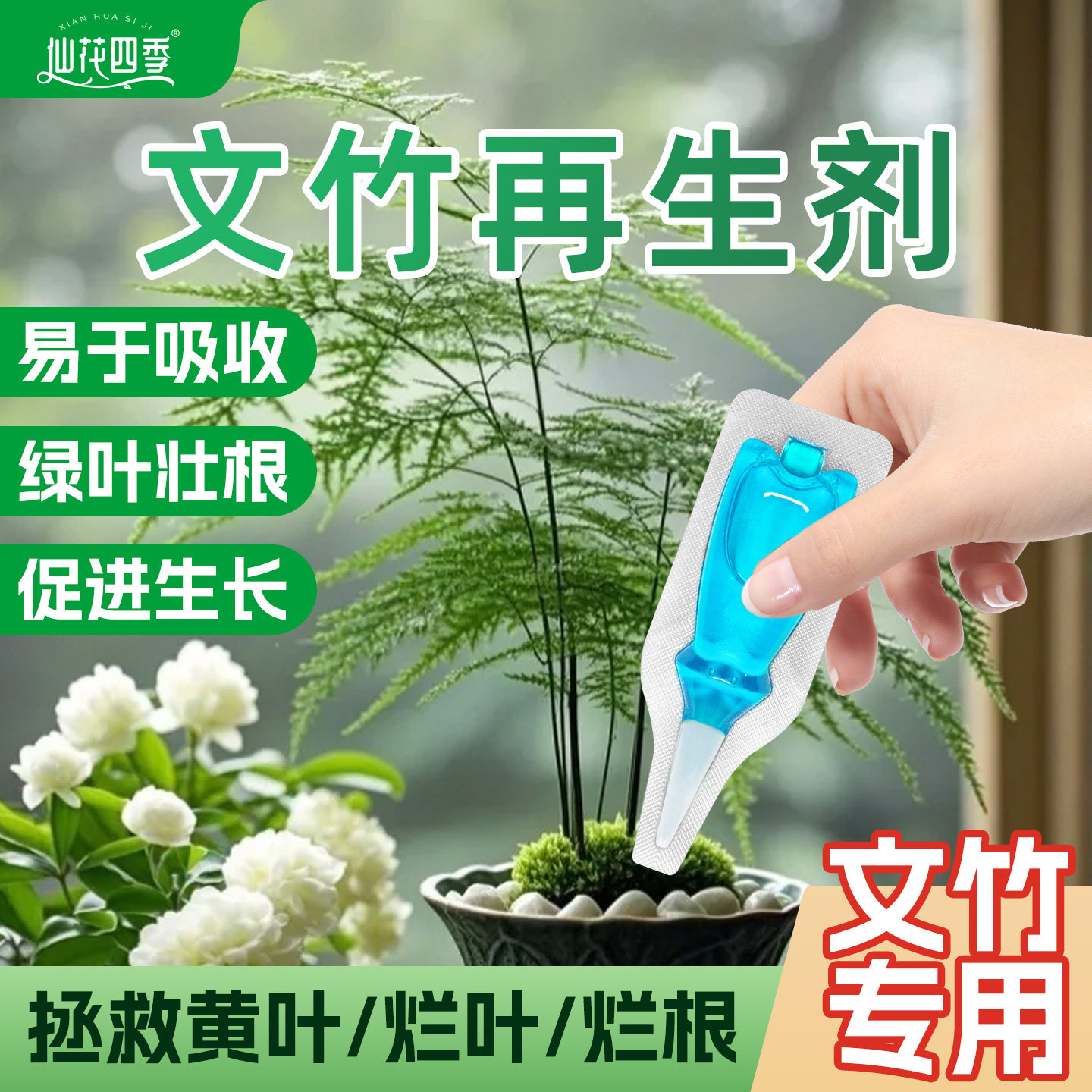 文竹再生剂植物浓缩营养液绿植盆栽通用促生长免稀释花草水溶肥料,鲜花速递/花卉仿真/绿植园艺,家庭园艺肥料,淘宝优惠券,粉丝福利购,淘宝优惠卷