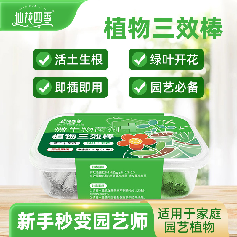 仙花四季植物三效棒家庭园艺