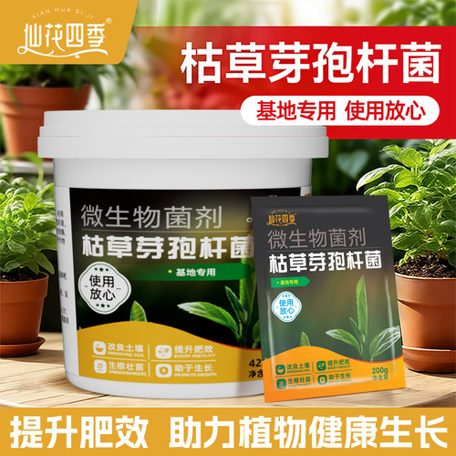 仙花四季枯草芽孢杆菌微生物菌肥
