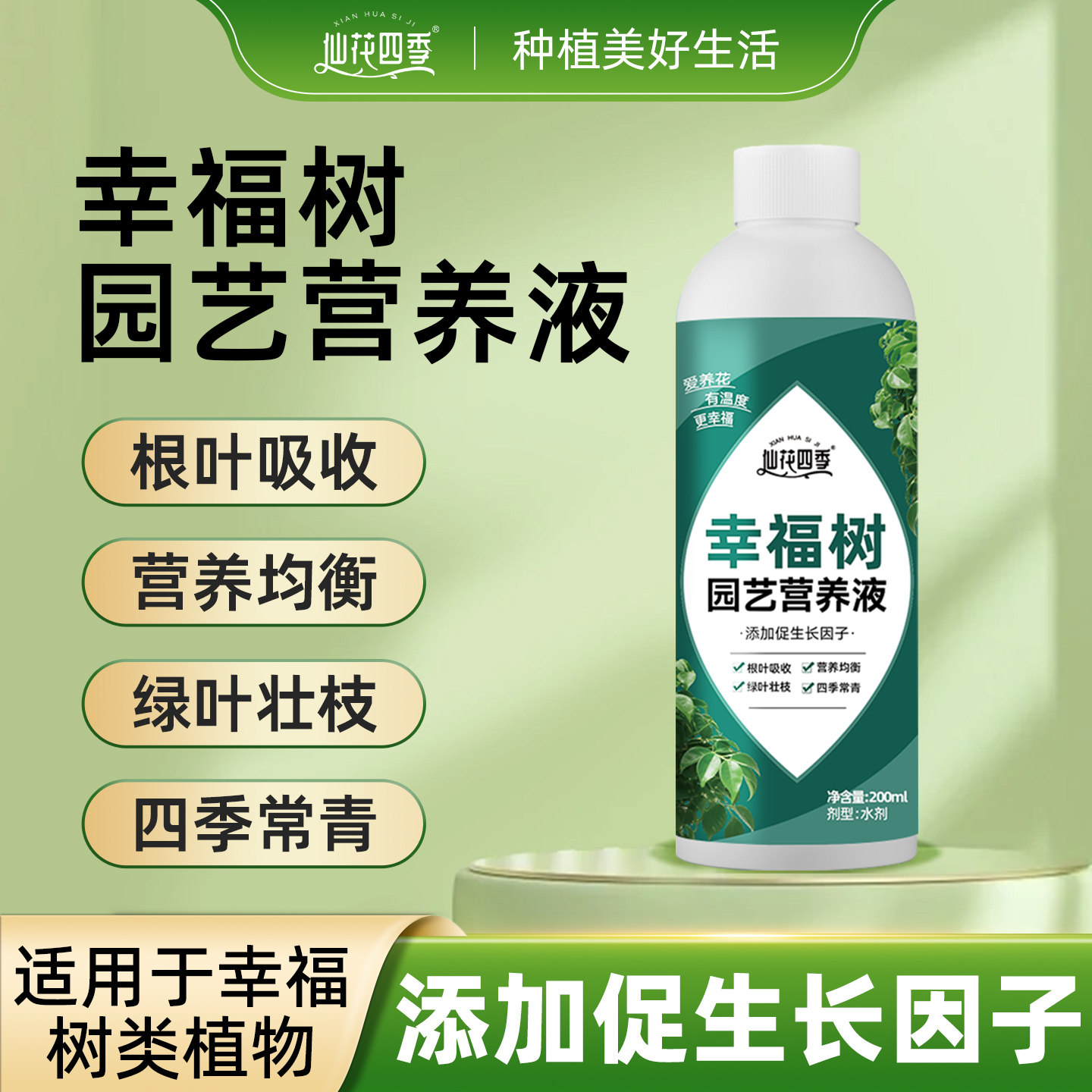 幸福树专用营养液急救治黄叶落叶黑斑防掉叶干枯花肥盆栽液体肥料