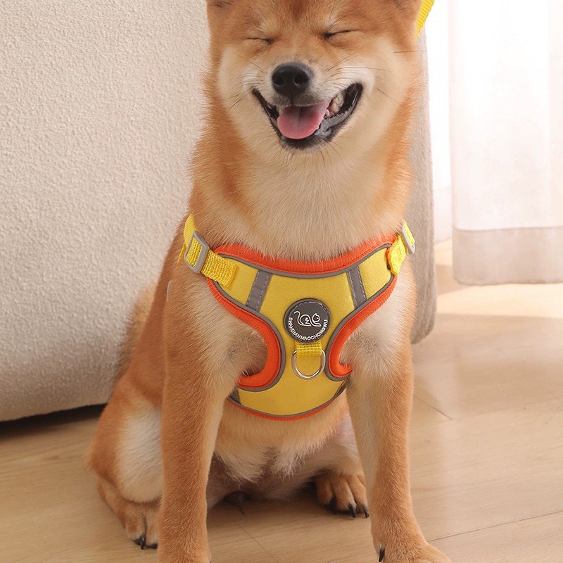 狗狗牵引绳背心式中小型犬雪纳瑞柴犬柯基胸背带小狗遛狗绳狗链子