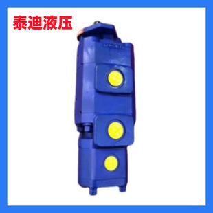 G16G齿轮泵 P5100 P124 泊姆克液压泵 F50NI367