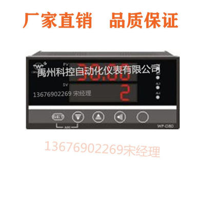 WP-D808A-02-08-N/?WP-D808A-02-09-HL上润八路巡检仪