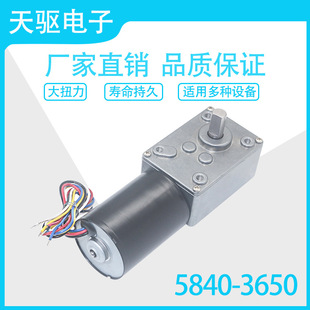 5840 12V24V无刷电机自锁刹车电机 3650直流无刷涡轮蜗杆减速电机