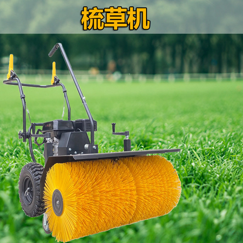 草坪梳草机人造草坪汽油动力草场梳理车多功能草坪刷草机,模玩/动漫/周边/娃圈三坑/桌游,文化/体育周边,淘宝优惠券,粉丝福利购,淘宝优惠卷
