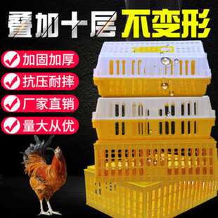鸡笼周转箱塑料加厚鸡鸭鹅家禽运输笼子塑料加厚大号成鸡鸭周转笼