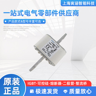 170M1852 170M1848 170M1851 170M1850 170M1853熔断器 170M1849