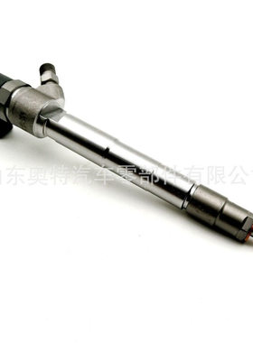 柴油燃油系统喷油器 0445110533 配4F20发动机共轨喷油器