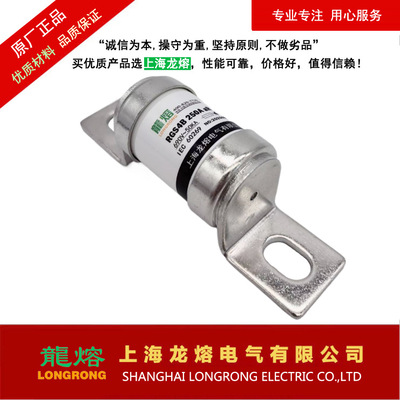 熔断器RGS4B AC690V 125A145A150A180A200A250A，采用优质材料