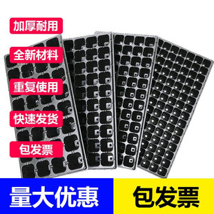 育苗穴盘批发草莓花卉105孔蔬菜茄子玉米豆角辣椒白菜专用育苗盘