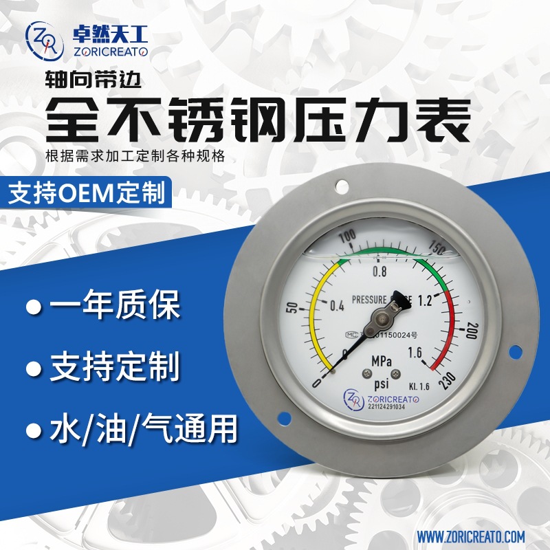 轴向带边不锈钢压力表布莱迪替换两件式整体式锅炉车间气压油压表