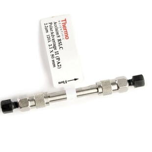 5um分析柱4.6x250mm PA2 赛默飞063199 Acclaim