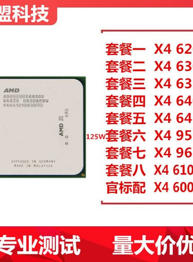 速龙X4 620 630 635 640 645 955 965 600E CPU 938针AM3四核