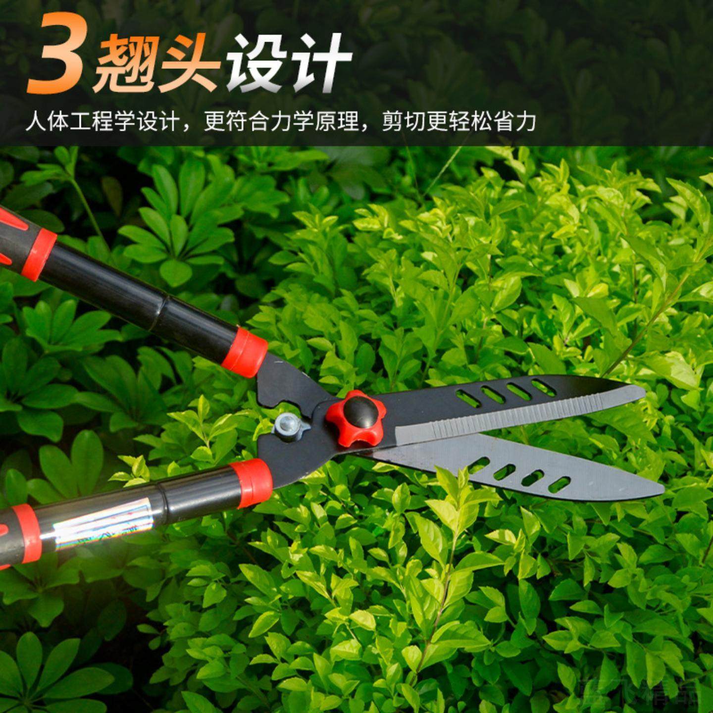 园艺伸缩枝裁剪绿篱剪草坪园林修枝剪大剪刀绿化粗枝果树工具