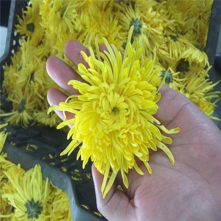 大型玫瑰花瓣干花烘干机设备全自动智能控温鲜花烘干房干燥箱