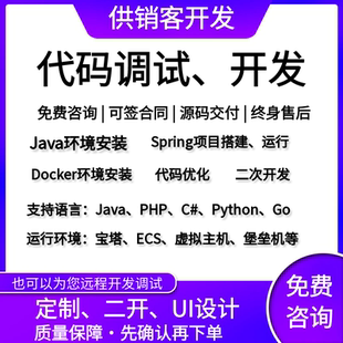 java代码问题解决bug调试修改程序讲解项目运行指导软件后端开发