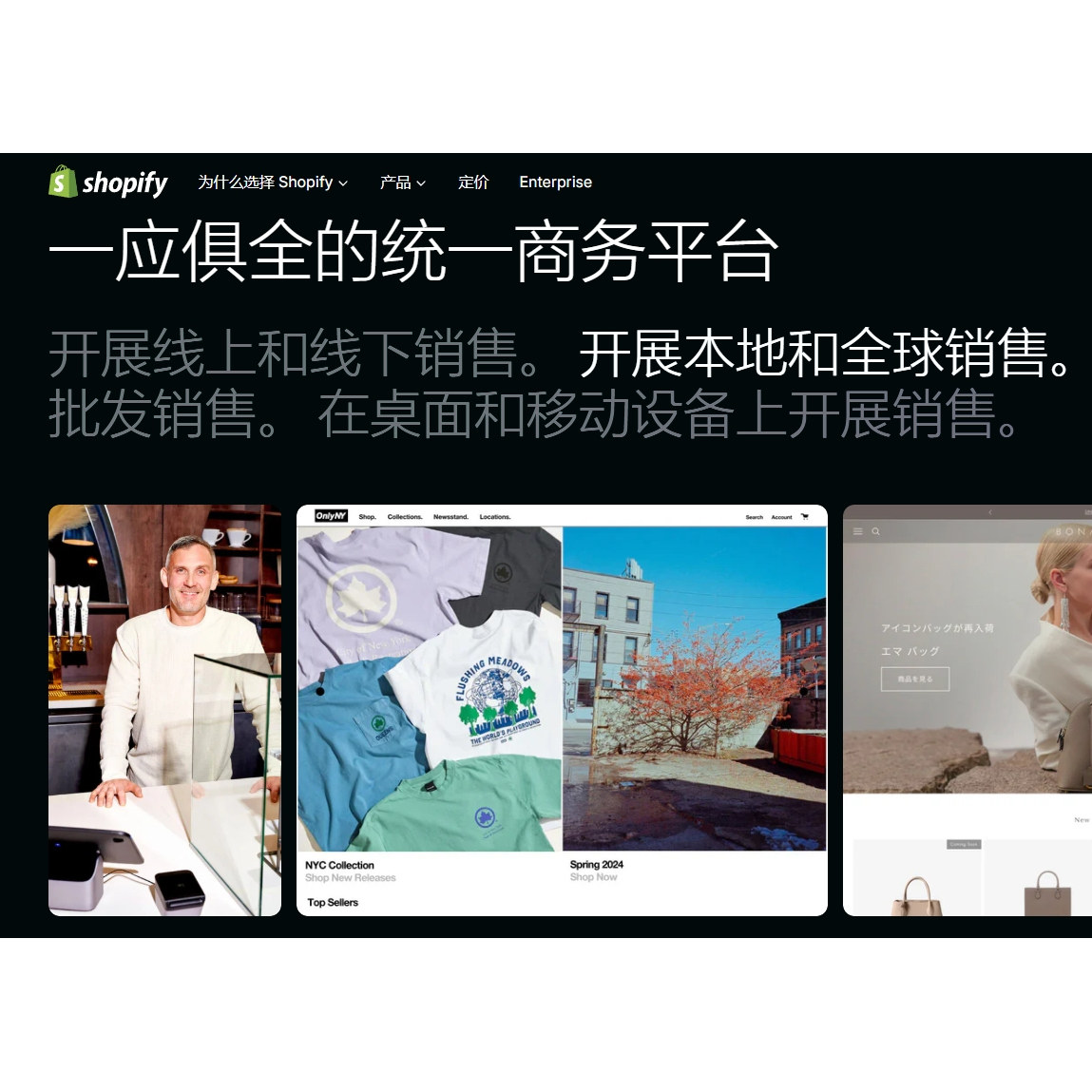 Shopify独立站建站装修二次开发