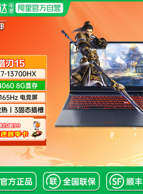 Thunderobot雷神猎刃15酷睿i7HX满血4060电竞游戏商务办公大学生AI绘画CAD设计师笔记本电脑