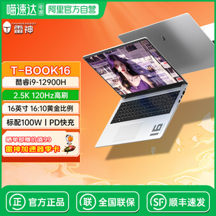 雷神T BOOK16D酷睿i9标压16英寸高性能商务办公全能本轻薄便携出差编程设计作图游戏笔记本电脑196