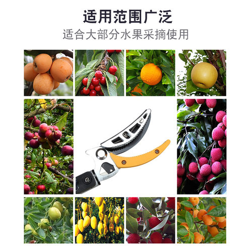 摘果器杨梅荔枝枇杷采果剪刀伸缩高空剪摘龙眼神器高枝剪  摘果剪