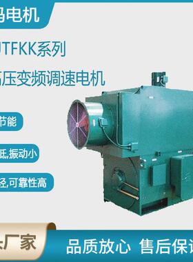 西安电机YJTF4504-10极355W低压大功率变频三相异步电动机厂