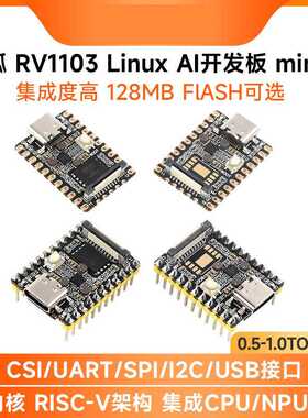 幸狐RV1103 Luckfox Pico Mini微型Linux AI开发板128MB容量