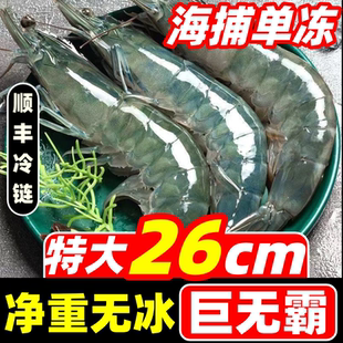 大虾鲜活超大基围虾特大青虾冷冻青岛对虾明虾海虾虾类海鲜水产