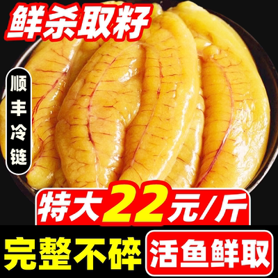 黄花鱼籽鲜活海鲜水产批发商用