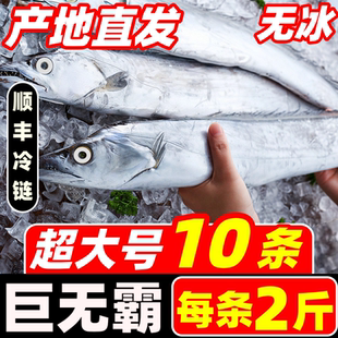 带鱼新鲜冷冻整条大刀鱼特级大号小眼带鱼海鱼整箱无冰顺丰商用