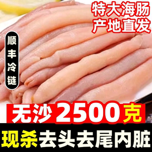 新鲜海肠鲜活速冻海肠皮免处理沙虫海捕大海肠子海肠捞饭商用海鲜