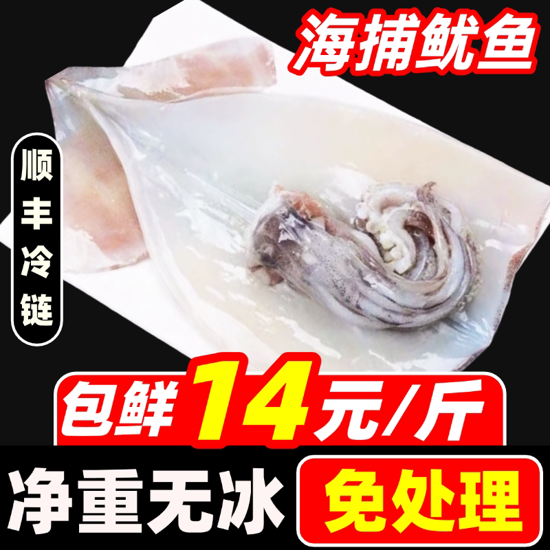 去内脏鱿鱼免处理尤鱼鱿鱼片鱿鱼须鲜活冷冻整条商用铁板烧烤海鲜