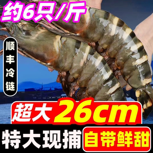 黑虎虾大虾鲜活速冻超大特大老虎虾深海大虾基围虾九节竹节虾海鲜