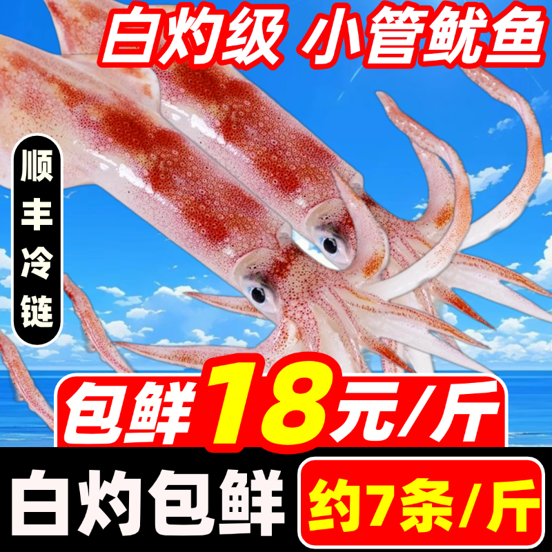 新鲜小管鱿鱼白灼鱿鱼冷冻小乌贼大鱿鱼大笔管鱼海鲜水产鲜活生鲜