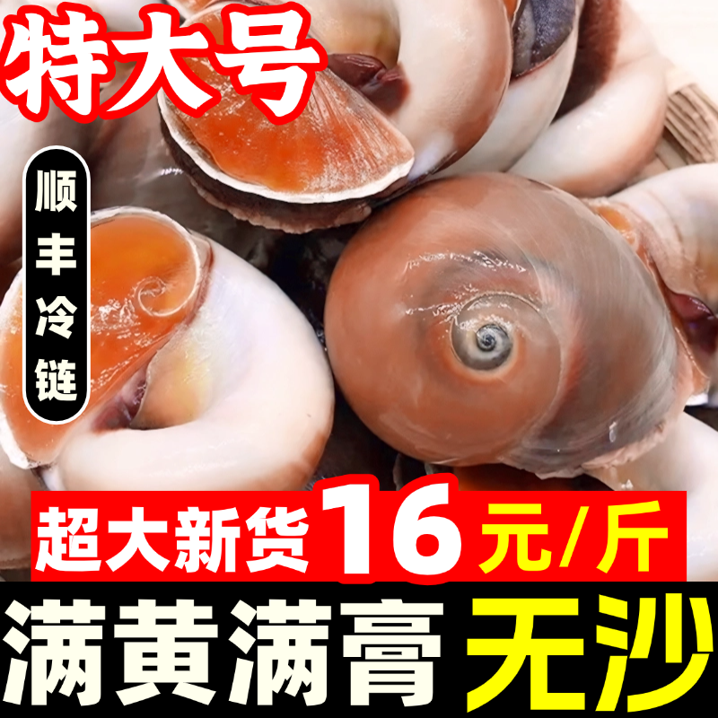 猫眼螺新鲜海捕香螺鲜活大号冷冻超大田玉螺花螺水产贝类海虾海螺