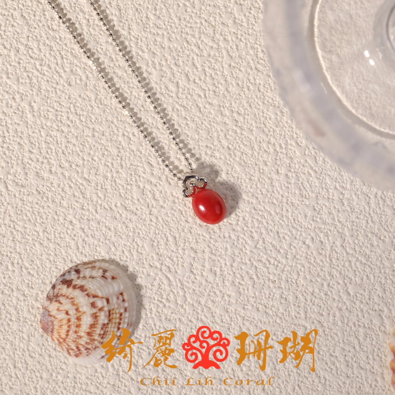 Chii Lih中国台湾绮丽珊瑚 天然珊瑚 多样性 阿卡珊瑚蛋面银坠