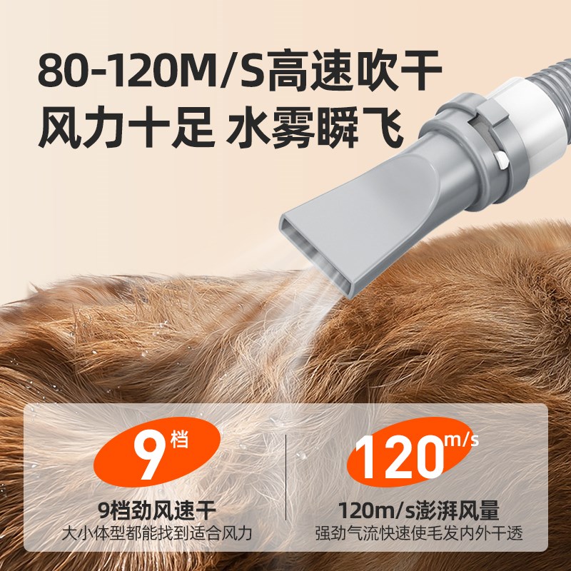 优宠宠物吹水机狗狗吹风机大功率静音大型犬猫咪专用烘干吹毛神器