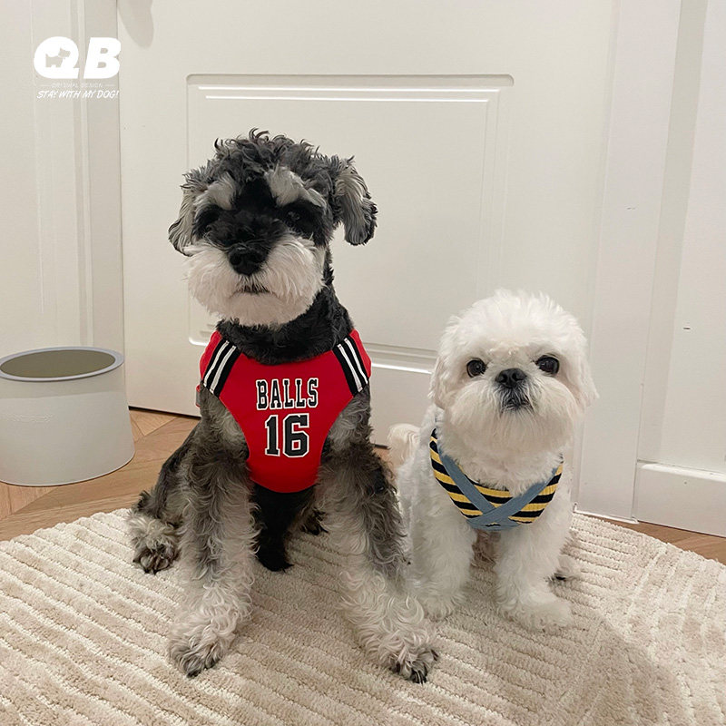 Blue port宠物狗狗胸背带牵引绳背心式小型犬泰迪比熊雪纳瑞柴犬