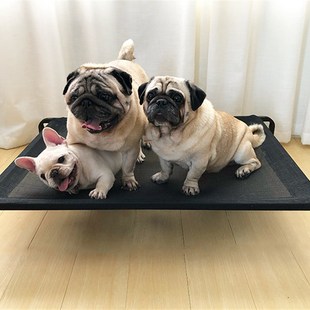 夏季凉凉床宠物降温垫通风透气可拆卸行军狗床巴哥法斗柯基狗窝