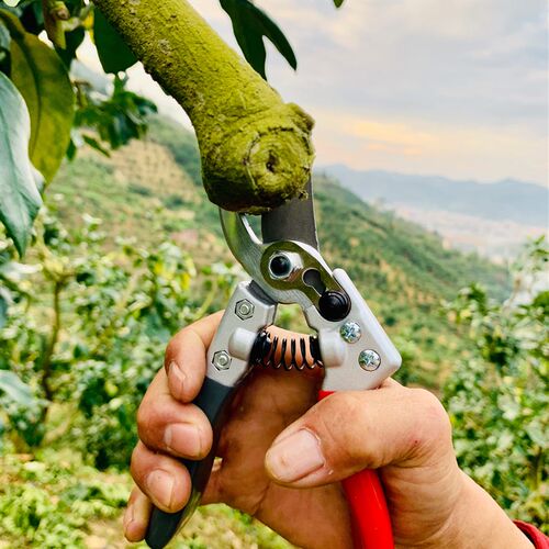 刘一手新款A7修枝剪园林果树剪刀粗枝花剪省力果树剪树枝剪盆景剪