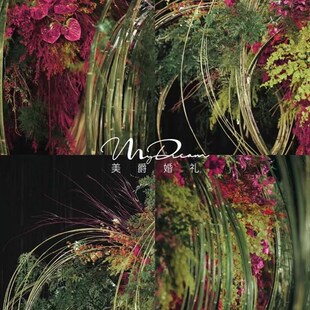 彩色竹排竹条竹片竹蔑条软竹条竹艺花艺装置婚礼展厅装饰创意设计